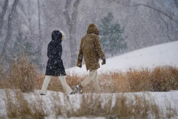 蒙特利尔第一场雪很可能本周杀到！这些事情抓紧做！