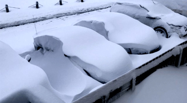 九月大雪埋了卡尔加里，魁北克人的心情好复杂……