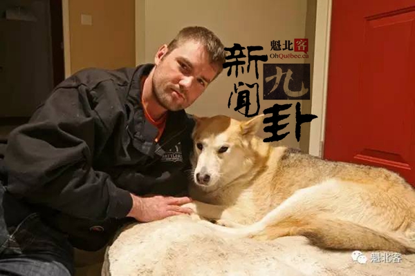 加拿大人真生猛，为救爱犬赤手勇斗美洲狮