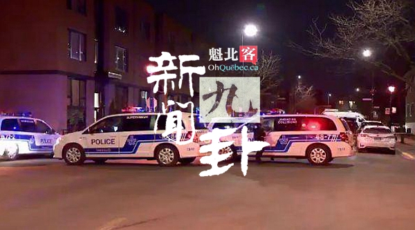 2019.03.28【新闻九卦】8岁男孩被车撞倒时无伤，送医后死亡！CSMB校董会撒了弥天大谎？不建停车场谁还坐轻轨？冰岛超廉价航空正式停运！罚你禁喝百事可乐！