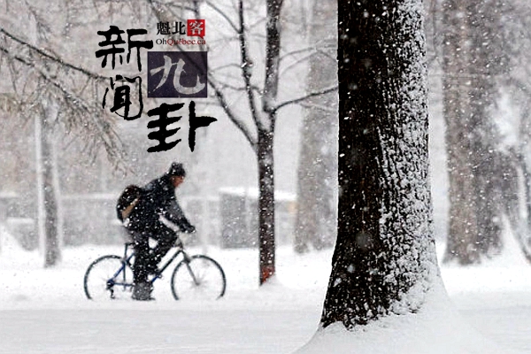 【新闻九卦】周末小心地滑！她为我们而战！为期两年的噩梦今晚开始！工程师别淘气！冬天欠电费会被断电吗？魁省大麻法案出台！加拿大海豹肉！洗碗去！