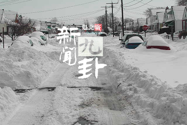 2019.01.31【新闻九卦】蒙特利尔市长打太极：除雪不力全怪你们！魁省宗教标志法案下月提交！一项关于狗主的残酷新政已悄然实施！买猫碗送电击枪？老妇雪铲大战！