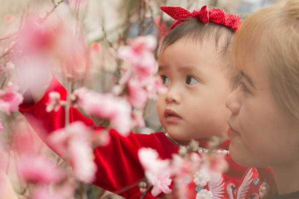 蒙特利尔“算命先生”预测：今年是幸运的一年！唐人街活动规模盛大，不同以往！