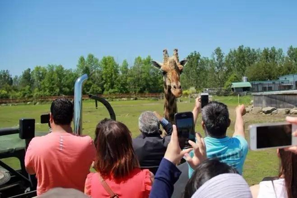 穆斯林在Safari动物园做了这样一件事，游客和园方都无法淡定了。。。