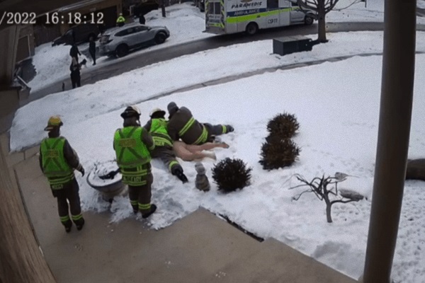 辣眼睛：加拿大司机超速追尾、弃车裸奔、被消防员按在雪地上摩擦