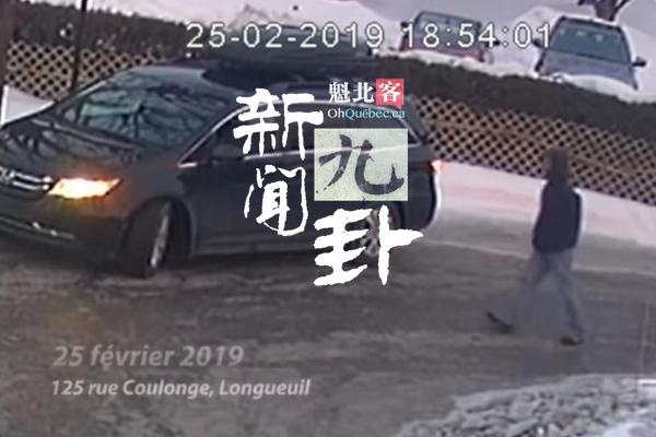 2019.03.06【新闻九卦】南岸车辆被盗，车上有三个小孩！蒙特利尔许可证可以在线申请啦！我家后院来了一群鹿！盲点害死人，推土机活埋女士！汽车压冰山直接起飞！