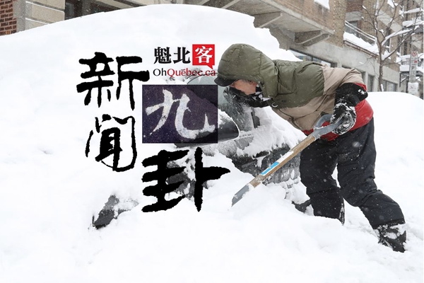 2019.02.11【新闻九卦】40厘米大雪奔袭蒙特利尔！鹦鹉岛肇事逃逸司机身份惊呆民众！安桂娘大坑请留神！别吃西岛百吉饼！凌志丰田车主要当心！泼沸水前请练习！