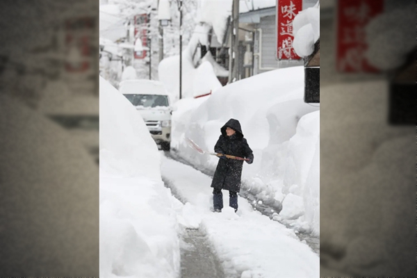 蒙特利尔未来7天雪连绵，强风乱吹气温乱窜！日本天气更吓人