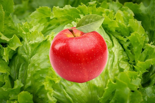 苹果和生菜，哪个塑料微粒含量多？一份令人惊讶的研究总结！