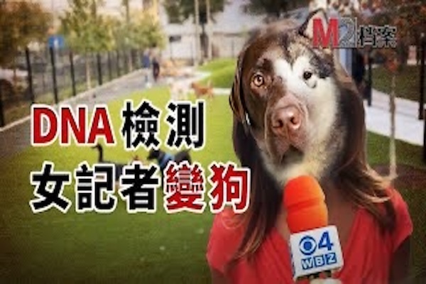 想知道愛犬品種，記者覺得檢測不靠譜，寄出自己的DNA，結果她變成了狗，還是個串兒