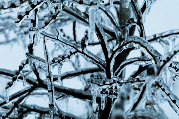 蒙特利尔明日天气如开盲盒，雪、雨、冻雨谁先来…喜忧参半说不清！大家小心为上！