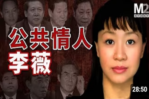 她被稱為「公共情婦」，在權力、金錢和慾望中編織利益網絡，眾多名字寫入她的秘密日記