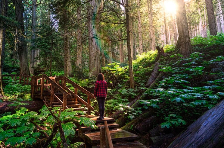 夏季福利！加拿大37个国家公园对所有人免费开放