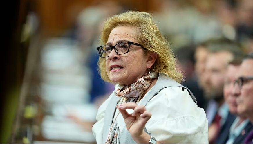 加拿大移民局坦白：十年批准1.76万有案底的人入境