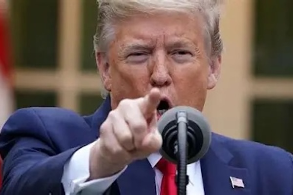 特朗普下令消灭零元购！美国社会正经历一场深刻的制度博弈