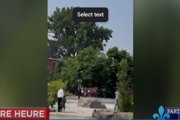 视频疯传！蒙特利尔父亲公园遛娃突遭陌生男子暴打，三个孩子吓哭