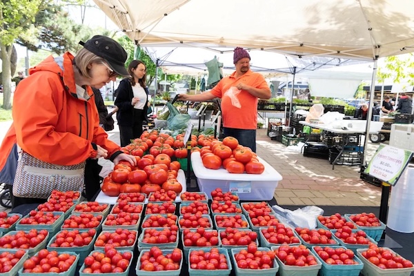 加拿大通胀温和回升，央行或迎来降息窗口