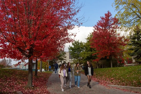 国际学生少了，房东慌了：加拿大大学周边房租暴跌！