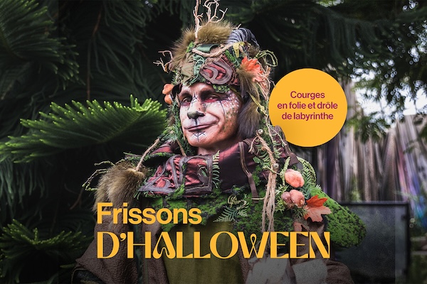 蒙特利尔本周竟然这么热闹，7大精彩活动去哪个？