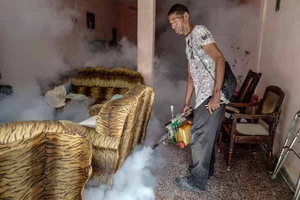 “蚊子疫情”全面失控，古巴全岛沦陷！无症状感染令人担忧，行前请三思！