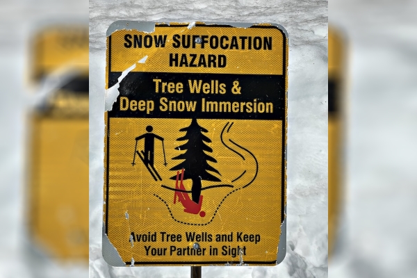 绿道容易？照样夺命！一女子滑雪时不幸坠入树井身亡！