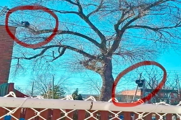 受前租客委托，老外邻居监视华人房产长达两年…说没拿人钱，法官：我信你个鬼！