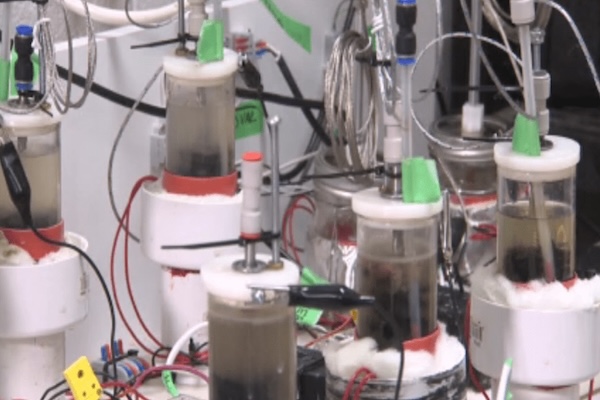 麦大研究遭质疑：研究什么不好非研究这…弄它有啥用啊？