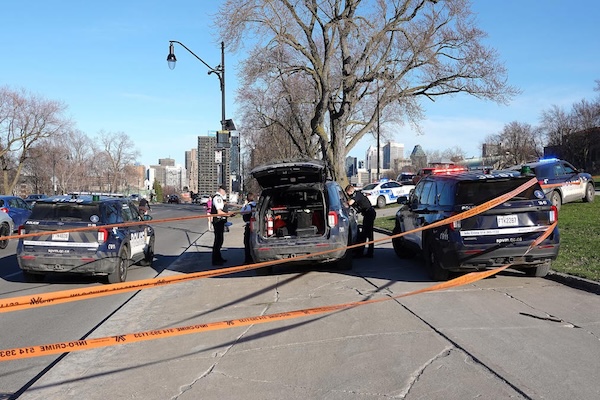 蒙特利尔昨天不太平：皇家山公园一人被刺死；一人被撞死，司机逃逸