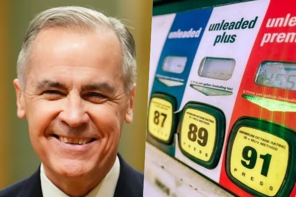 卡尼宣布暂停征收燃油消费税：加拿大人请放心，多数政府会拿出更多实质性内容！