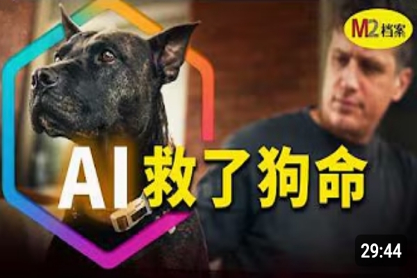 AI正在掘墓還是造神？電子龍蝦、賽博同事與一隻被救回來的狗｜M2檔案｜AI 話題